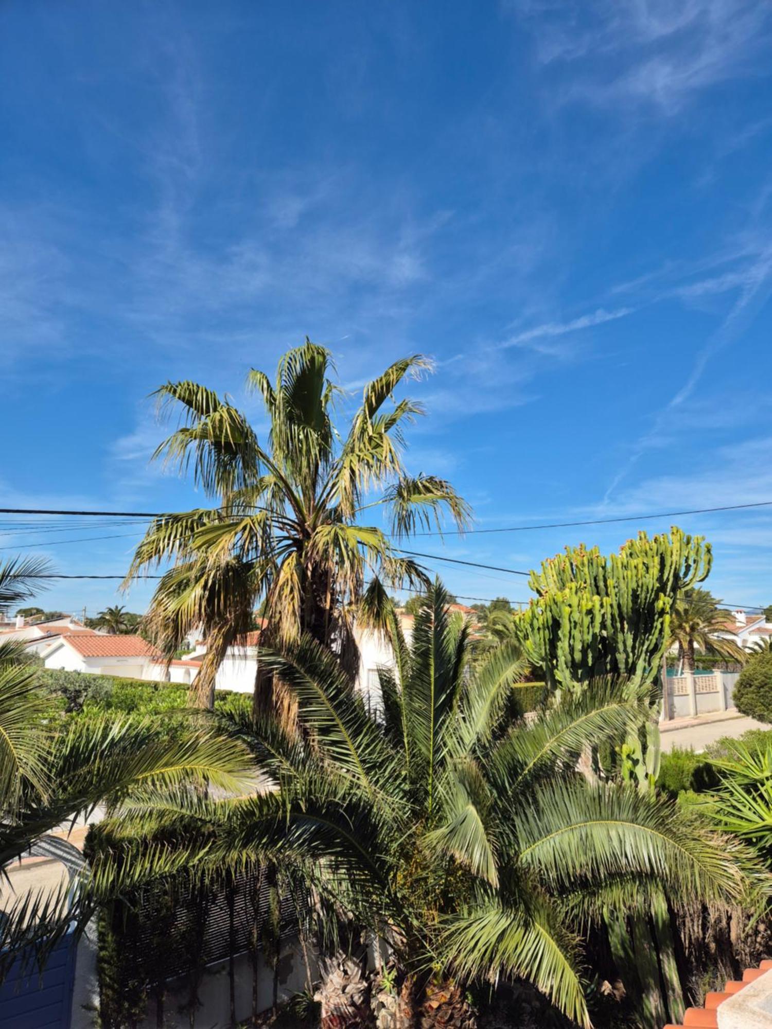 Casa Buganvilla ラメトリャ・デ・マール エクステリア 写真