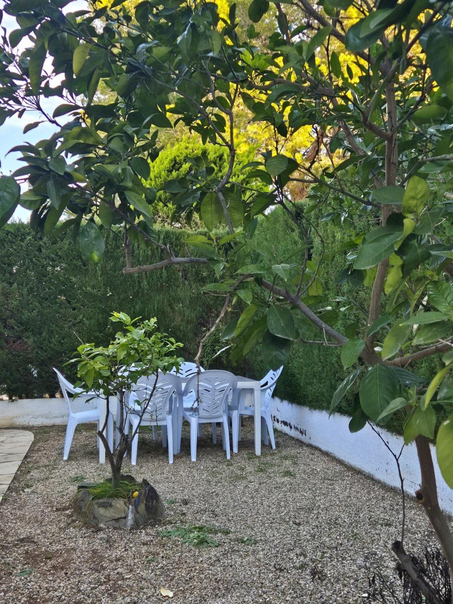 Casa Buganvilla ラメトリャ・デ・マール エクステリア 写真